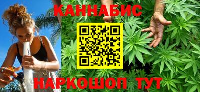 дмт Бердск