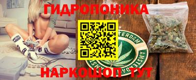 дмт Бердск