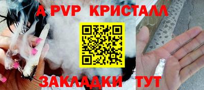 дмт Бердск