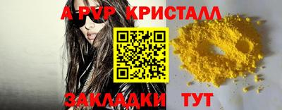 дмт Бердск