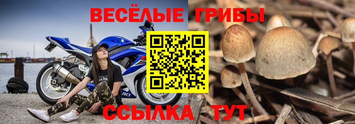 Галлюциногенные грибы MAGIC MUSHROOMS Зима
